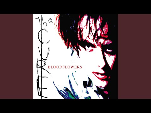 Maybe Someday - The Cure