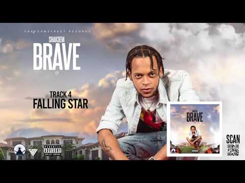 Shakdem - Falling Star (Official Audio)