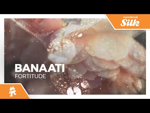Banaati - Fortitude [Monstercat Release]