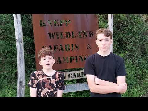 Noah and Simeon visit the incredible Knepp Rewilding Estate for BBC Bitesize.