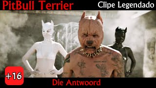Die Antwoord - PitBull Terrier (Clipe Legendado PT-BR)