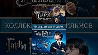 Коллекция из 2х фильмов: Фантастические твари и где они обитают и Гарри Поттер и философский камень