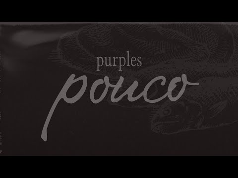 Purples - pouco (Vídeo-letra)