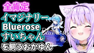 なんでも許してくれるイマジナリーすいちゃんを心のなかに飼うおかゆん【猫又おかゆ/星街すいせい/Bluerose】