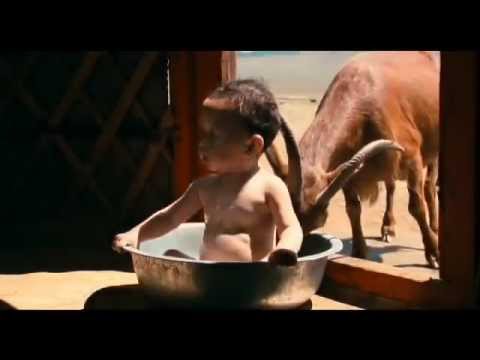 Babies (2010) Trailer