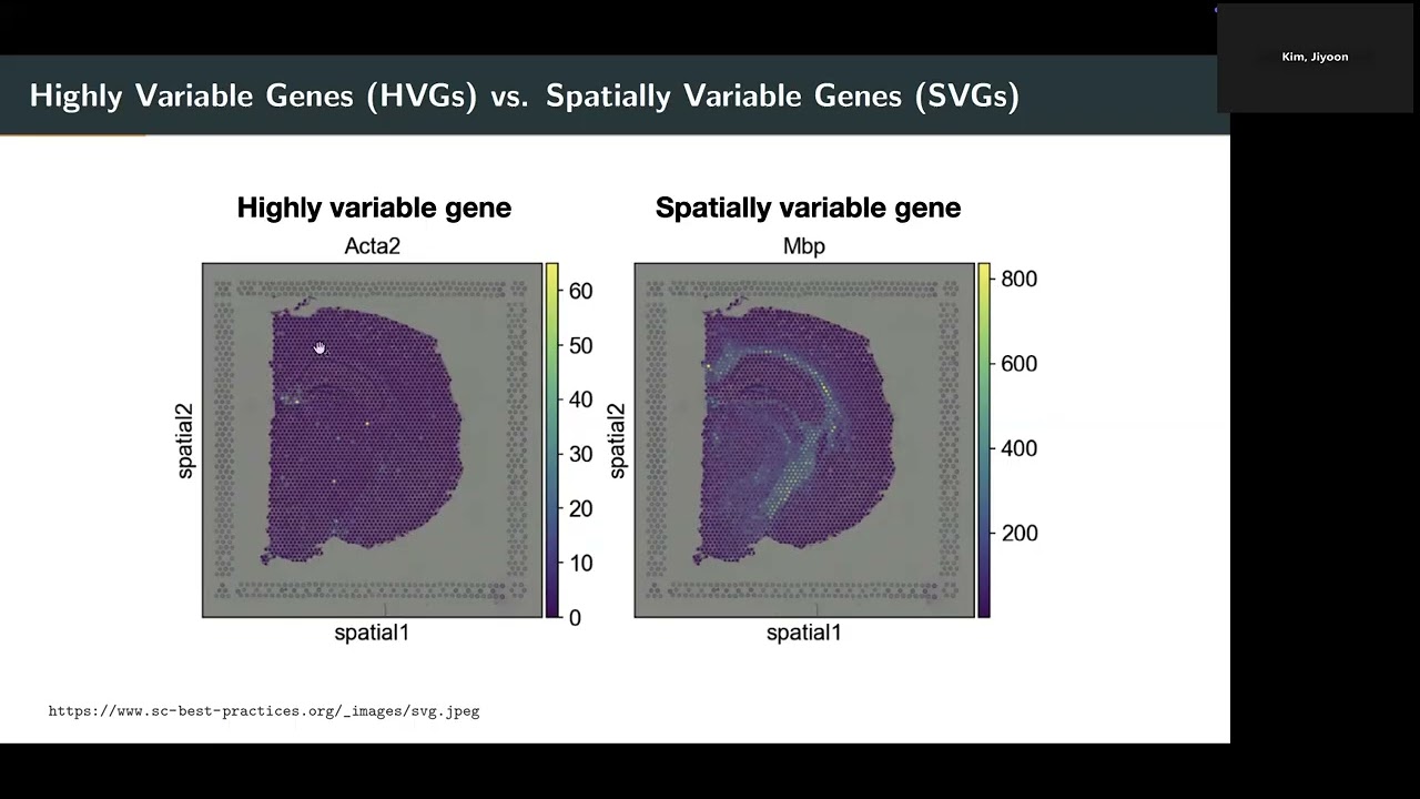 Guanao Yan: Categorization of 33 computational methods to detect spatially variable genes (SVGs)