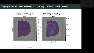 Guanao Yan: Categorization of 33 computational methods to detect spatially variable genes (SVGs)