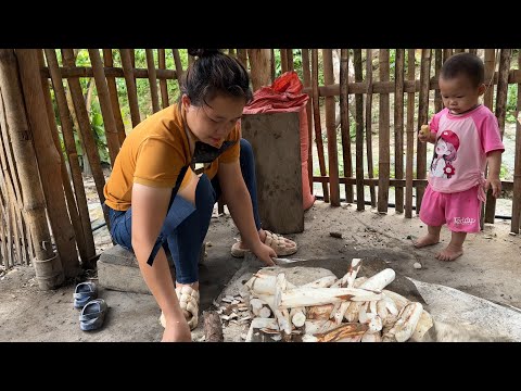 , title : 'Process of processing cassava for pigs and cleaning the garden | Family Farm Life'