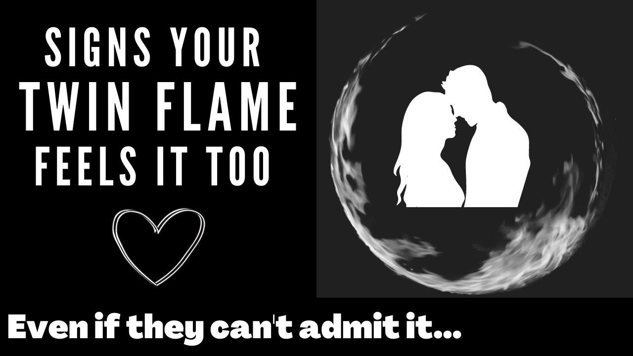 Does My Twin Flame Feel What I Feel?⎮Twin Flame Signs & What THEY Are Feeling