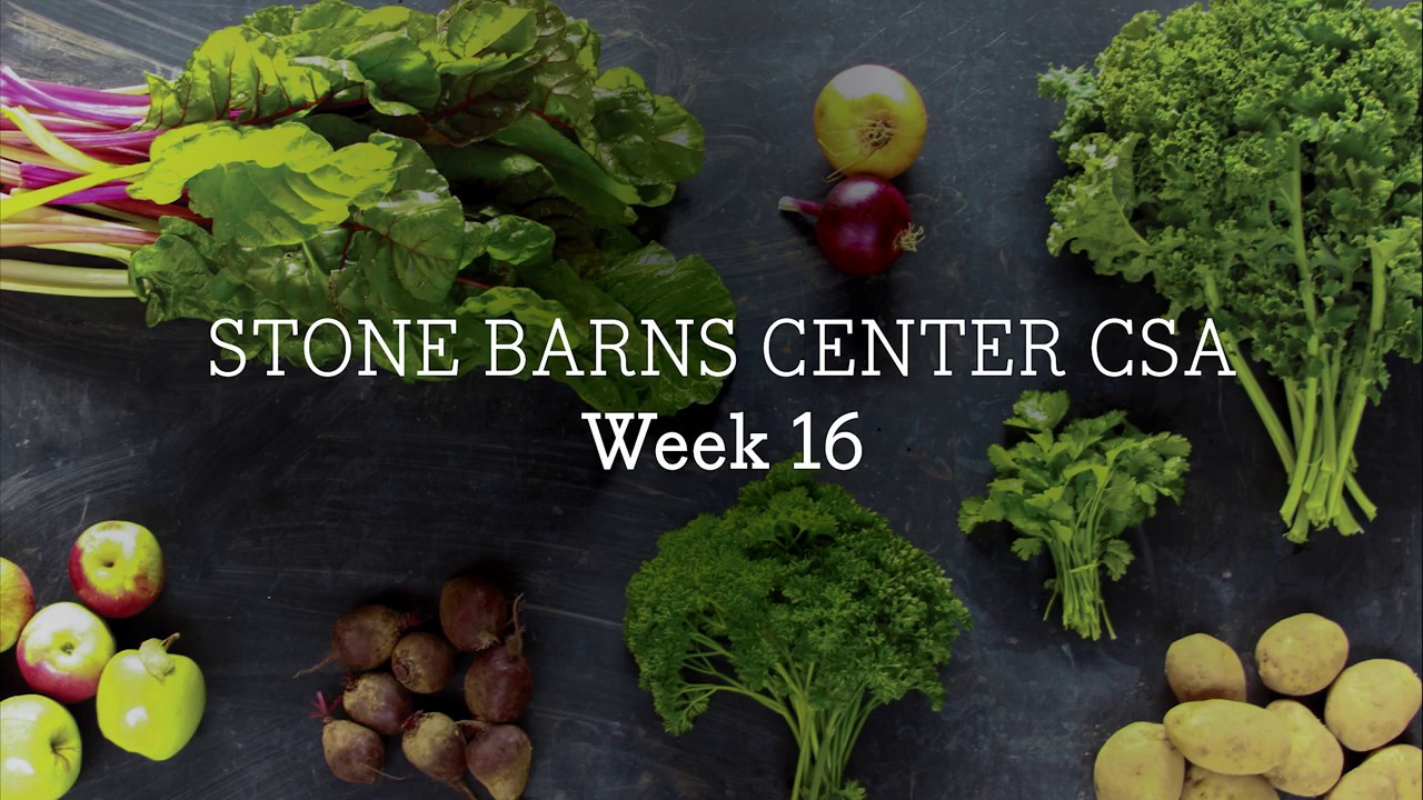 Stone Barns CSA 2017: Week 16 with Jack Algiere