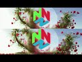 National Tv Station Id Primavara 2024