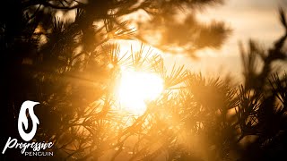 Download lagu Manu & Bennett - Golden Leaves mp3