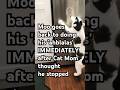 Moo Goes Back To His Famous Signature AHBLALA Sound
