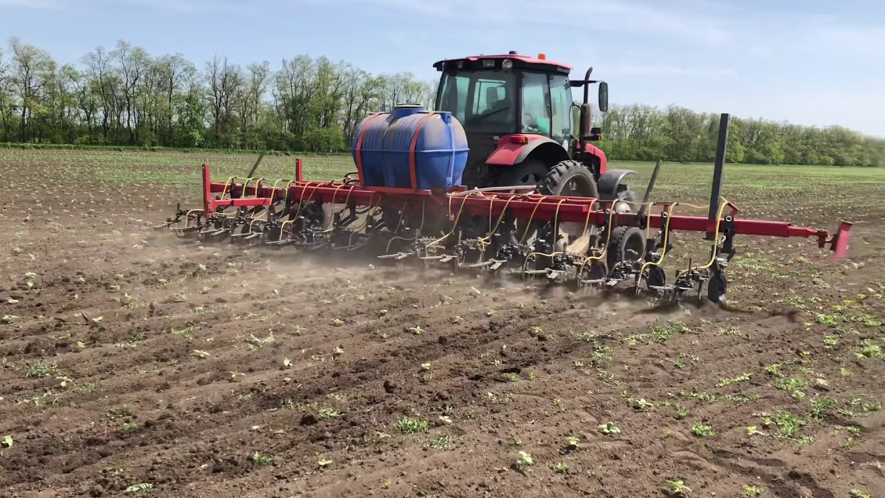 Настройка нормы вылива КАС. Культивация подсолнечника. РЕЗУЛЬТАТ! смотреть до конца!!!