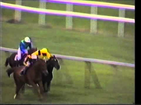 1983 joe mcgrath memorial stakes stanerra