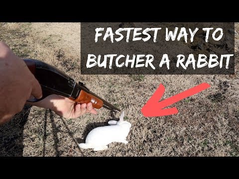 YOU NEVER SEEN THIS BEFORE Butchering Rabbits, Fastest...