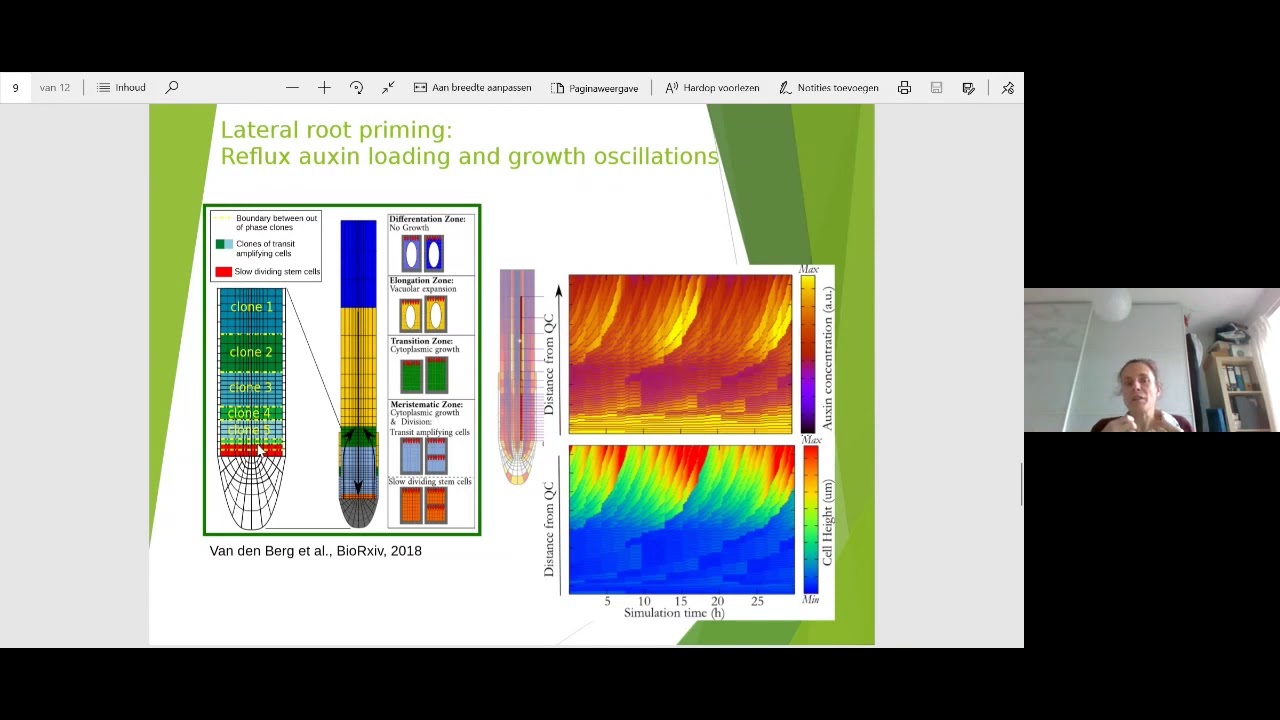 Quantitative Plant Biology - Kirsten ten Tusscher