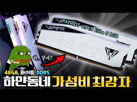 그냥 얘가 이 스펙 중에서 제일 쌈;;(진짜임)