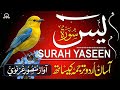 Surah Yaseen Full Yasin Dua Surah Rahman Mulk Qul Sharif Ayatul Kursi Episode 054