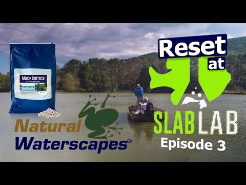 The Secrets Beneath the Surface: How Muck Destroys A Pond