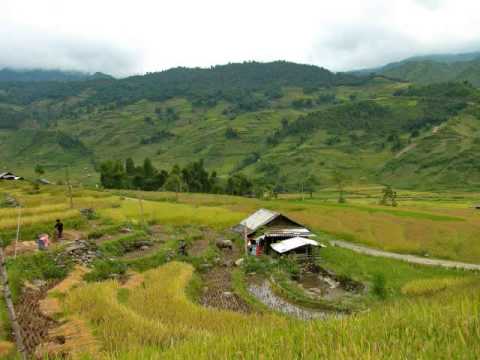 Thể hiện bởi Nguyễn Đức Huy