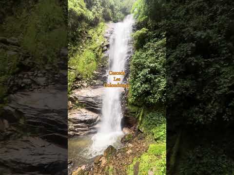 Cascada las golondrinas-Santa María Huila.#huila #santamariahuila #cascadas