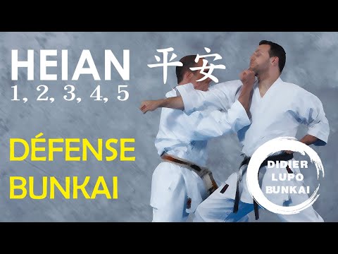 Bunkai Tradicional de Heian: Defensa Personal y Aplicación Real