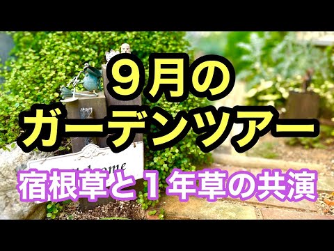 オープングラウンドガーデンに花を植え始める時期