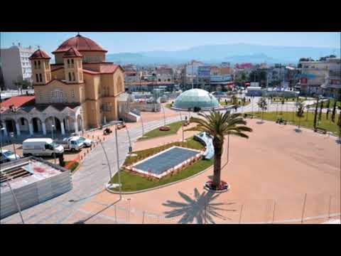 MANDRAGORAS MC- HOOD