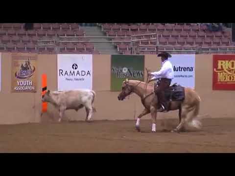 CD Diamond CD Diamond  - $150,000 NRCHA - 2012 NRCHA Open Futurity Champion - leading sire