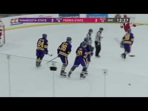 Ralfs Bergmanis Goal vs Ferris State Bulldogs 25.01.2025 | NCAA