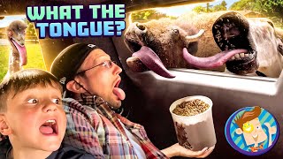 THEY TRIED TO KISS ME!! Scare Cam Drive Thru + Paqui One Chip Challenge (FV Family Vlog )