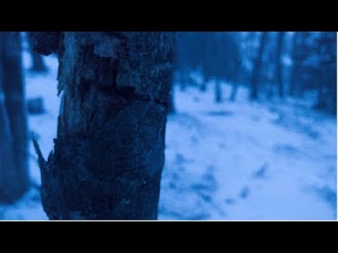 The Resting Place (A Short Winter Film)