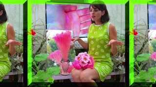 Advice From Paradise Starring Nedelle Torrisi and Nick Diamonds (Ep. 2)