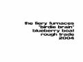 The Fiery Furnaces - Birdie Brain 