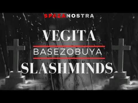 Vegita & Slashminds- Basezobuya (Audio Visualizer)