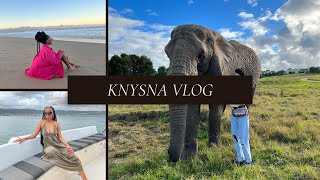 KNYSNA #travel VLOG: elephant park, zip lining, spa, just fun |#friends