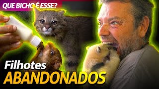 Miniatura do vídeo
