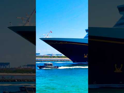 Thumbnail for Disney Dream 🛳️#like #share #comment #subscribe #cruiseship #cruise #vacation #shorts #short #video