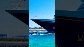 Disney Dream 🛳️#like #share #comment #subscribe #cruiseship #cruise #vacation #shorts #short #video