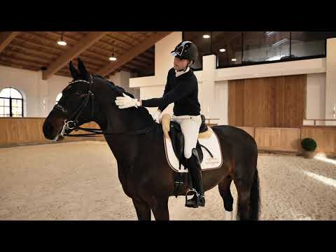 Fürst Fabrice Hengstpräsentation 2022