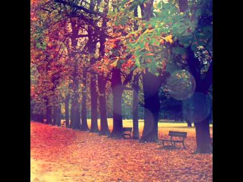 Besi OnV feat Ony ( Bit Boys)