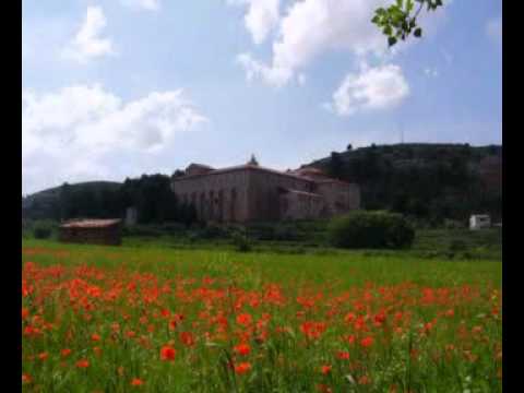 Monasterio el Olivar 4