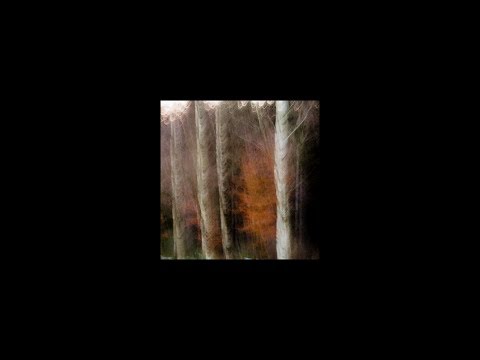 MNMT Premiere: Daniel[i] – Silent Leaves