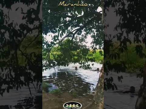 Bacurituba Maranhão #turismonordeste #automobile #turistandoemsp