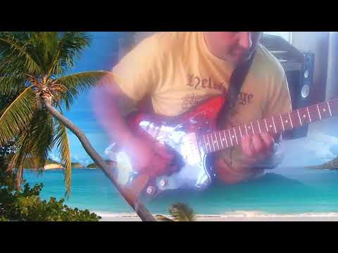 Bird of habibah - Birds of the sun