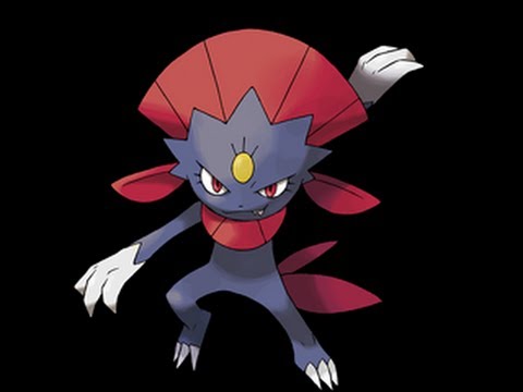 Shoddy Battle 1 - MunchingOrange VS Fireman888