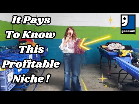 My Goodwill Outlet Bins Got CRAZY BUT.....  I Turned $1 Into $60 FAST With This One NICHE Item