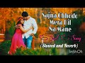 Sajna Chhodo Mera Dil Na Mane (Slowed and Reverb)Song Mitun-Ayesha  ||Udit Narayan Song||