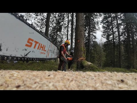 Autostrada für Highlander ✓ Perfetto 👍